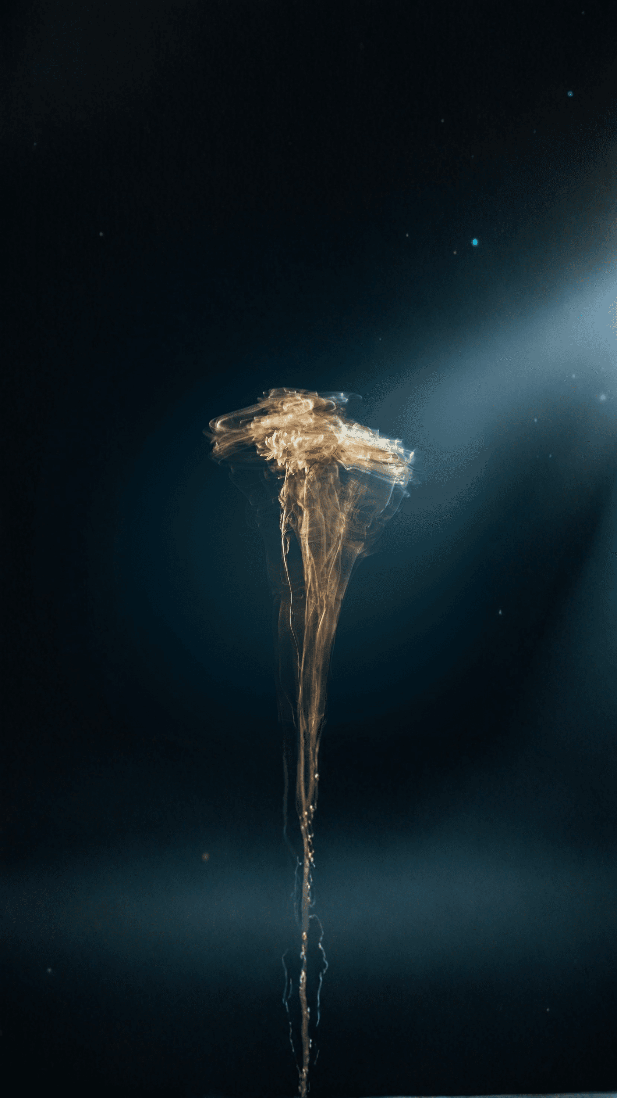 Atmospheric Golden Hour